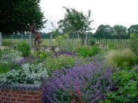 Sensory garden, Picture 3